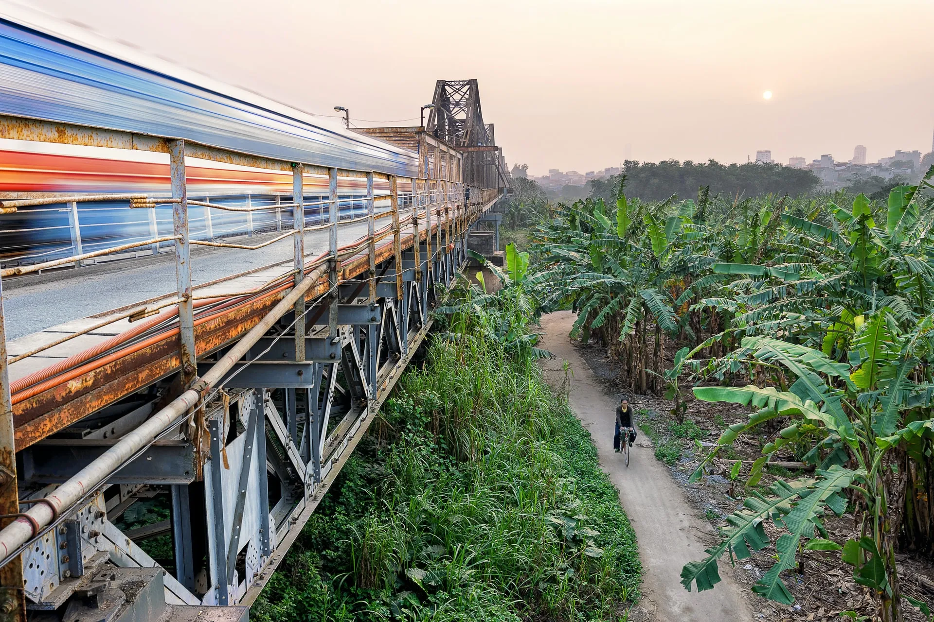 Local Vietnam train speeding through a banana plant field