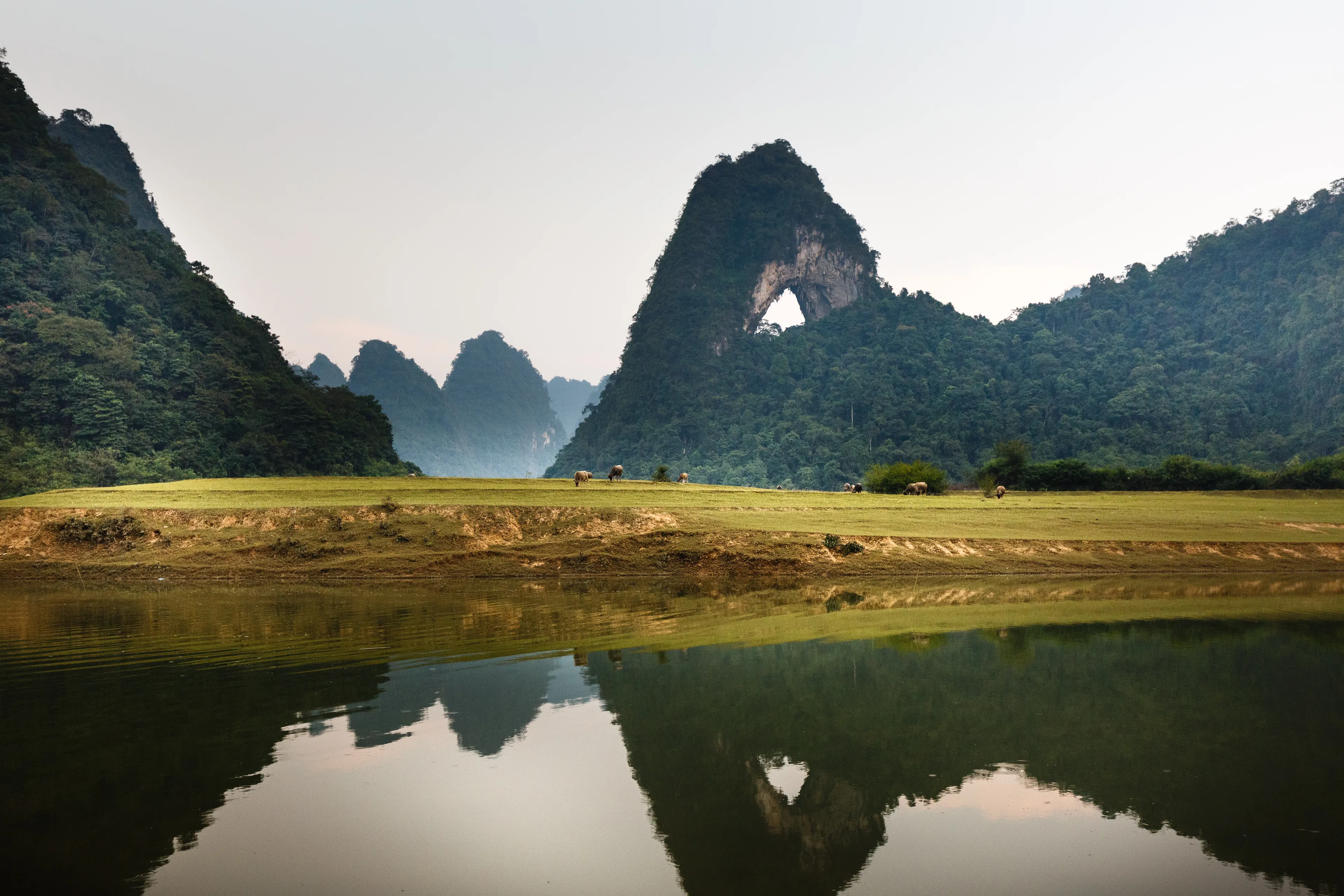 The Ultimate Guide to Cuc Phuong National Park