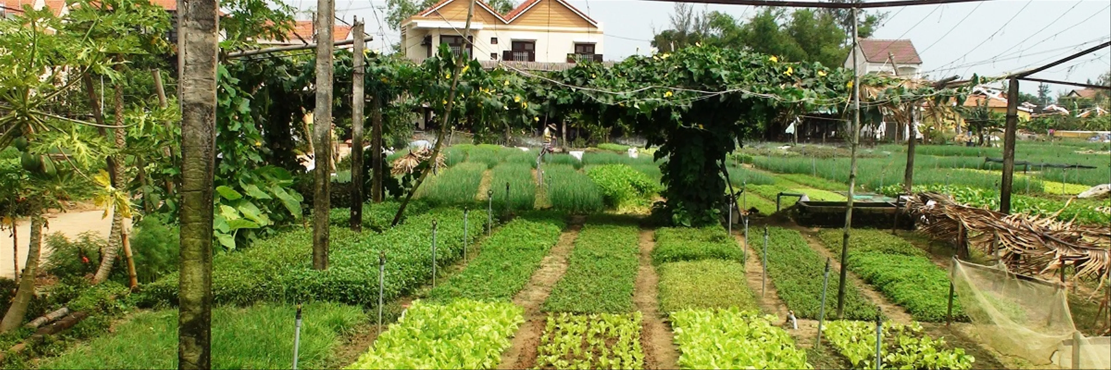 Ghé thăm 8 làng nghề truyền thống nổi tiếng nhất Quảng Nam