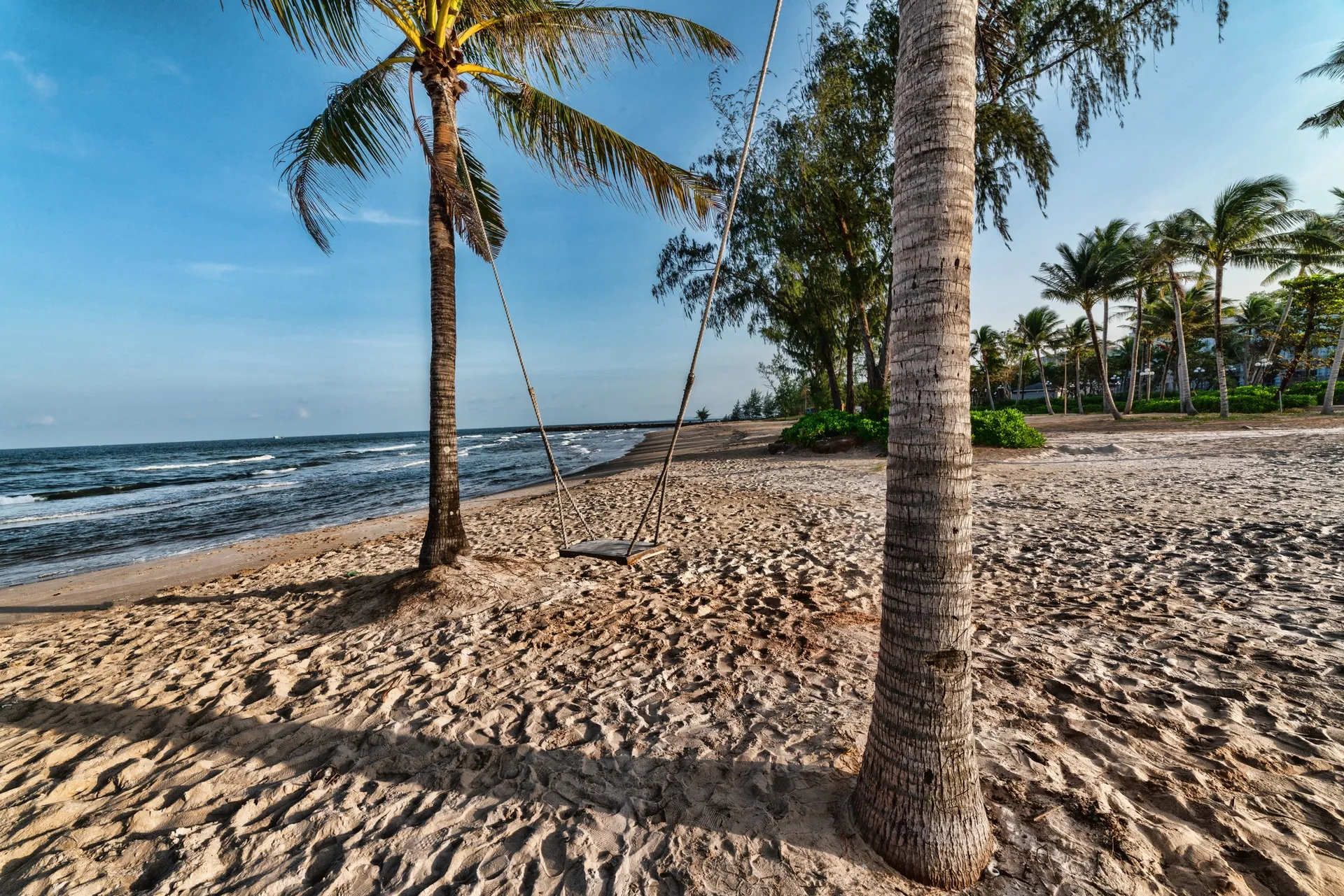 swing hanging from palm trees in bai truong beach