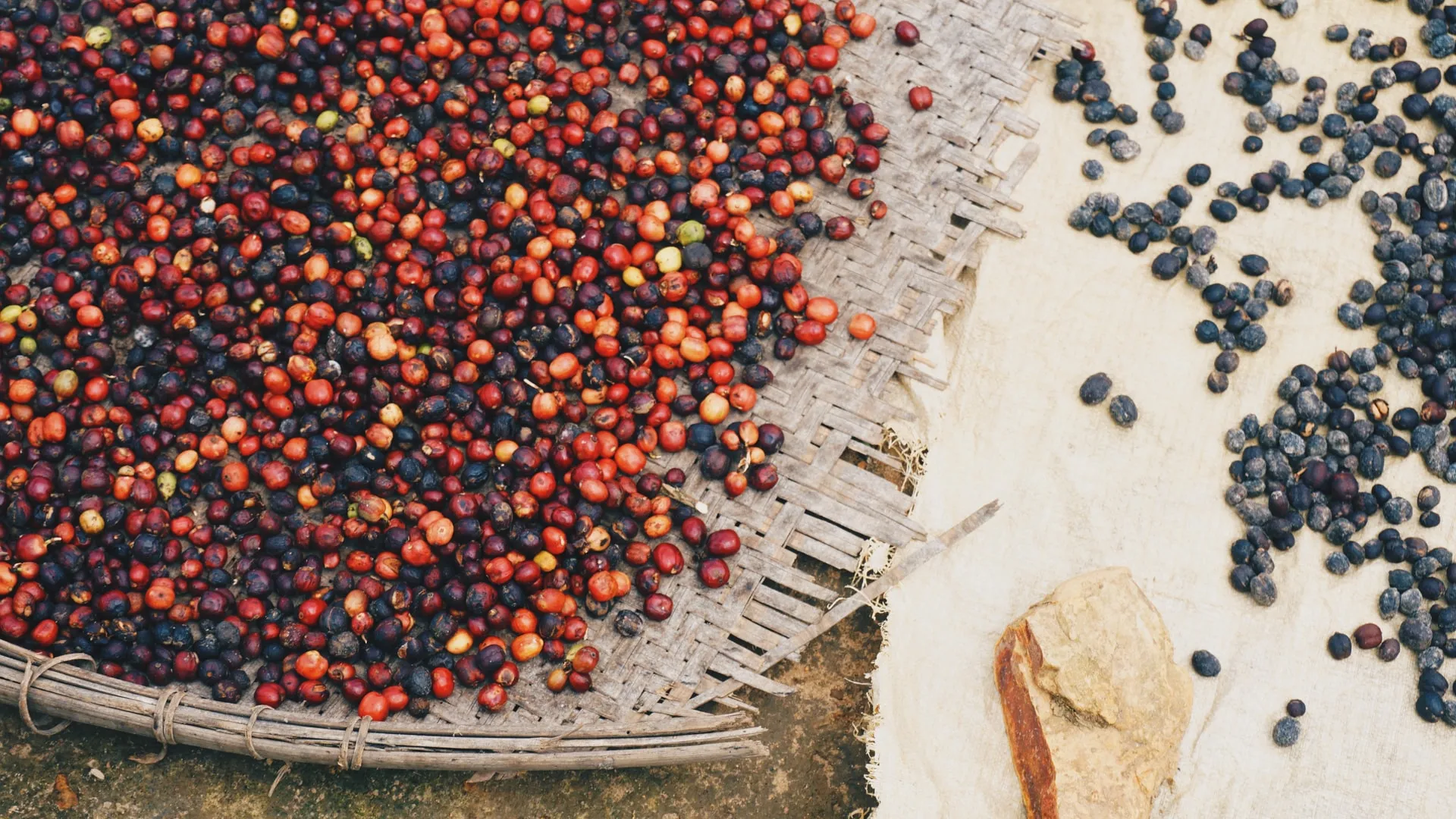 coffee beans on a wooden mat