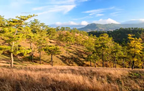 Đà Lạt ngày hè khung cảnh vô cùng tuyệt vời