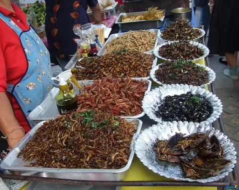 Côn trùng chiên