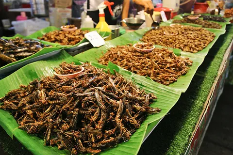 Một số món côn trùng chiên giòn với xả ớt, lá chanh