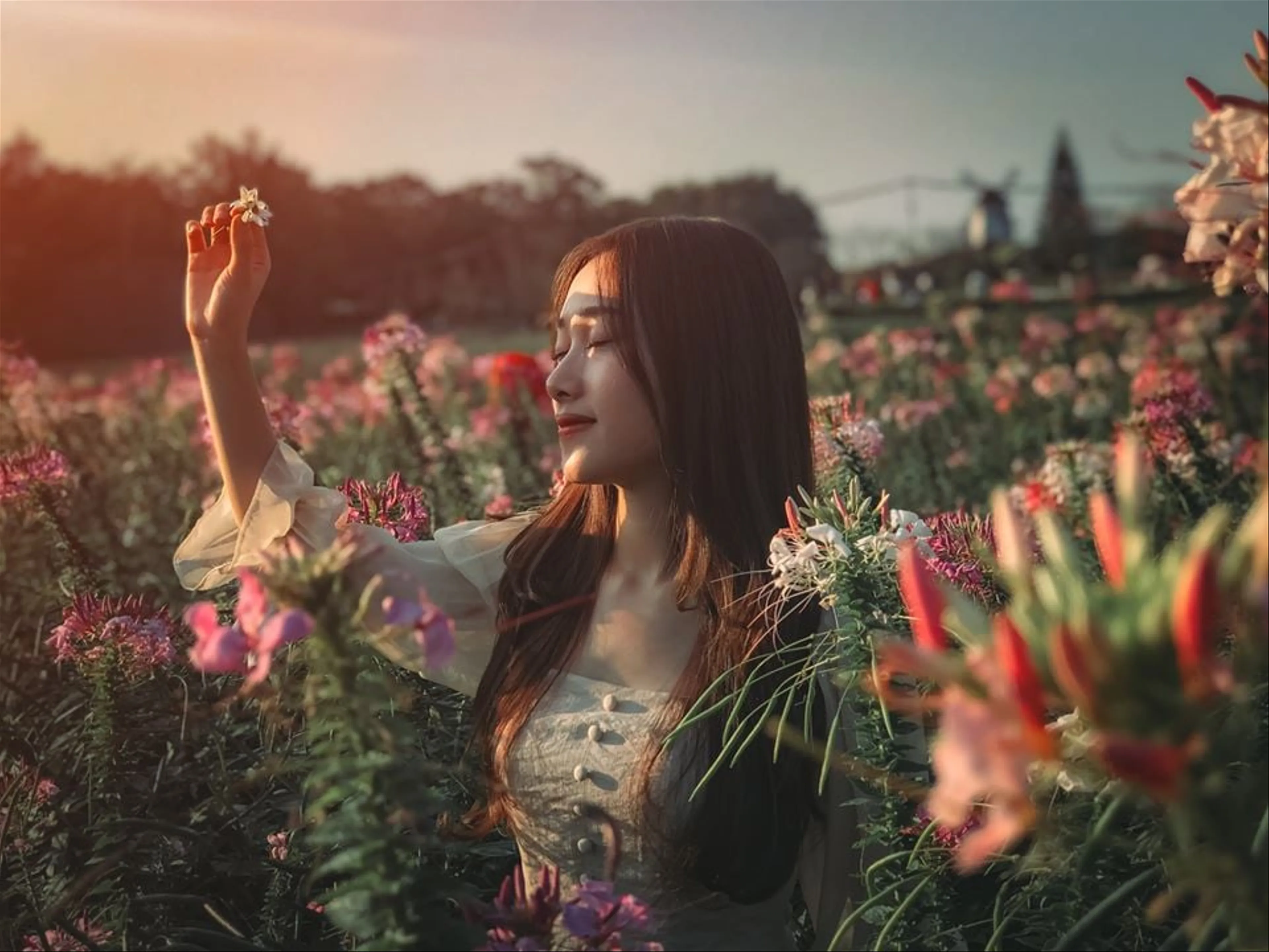 Lạc bước giữa thiên đường: Khám phá top 9 vườn hoa tại Hà Nội