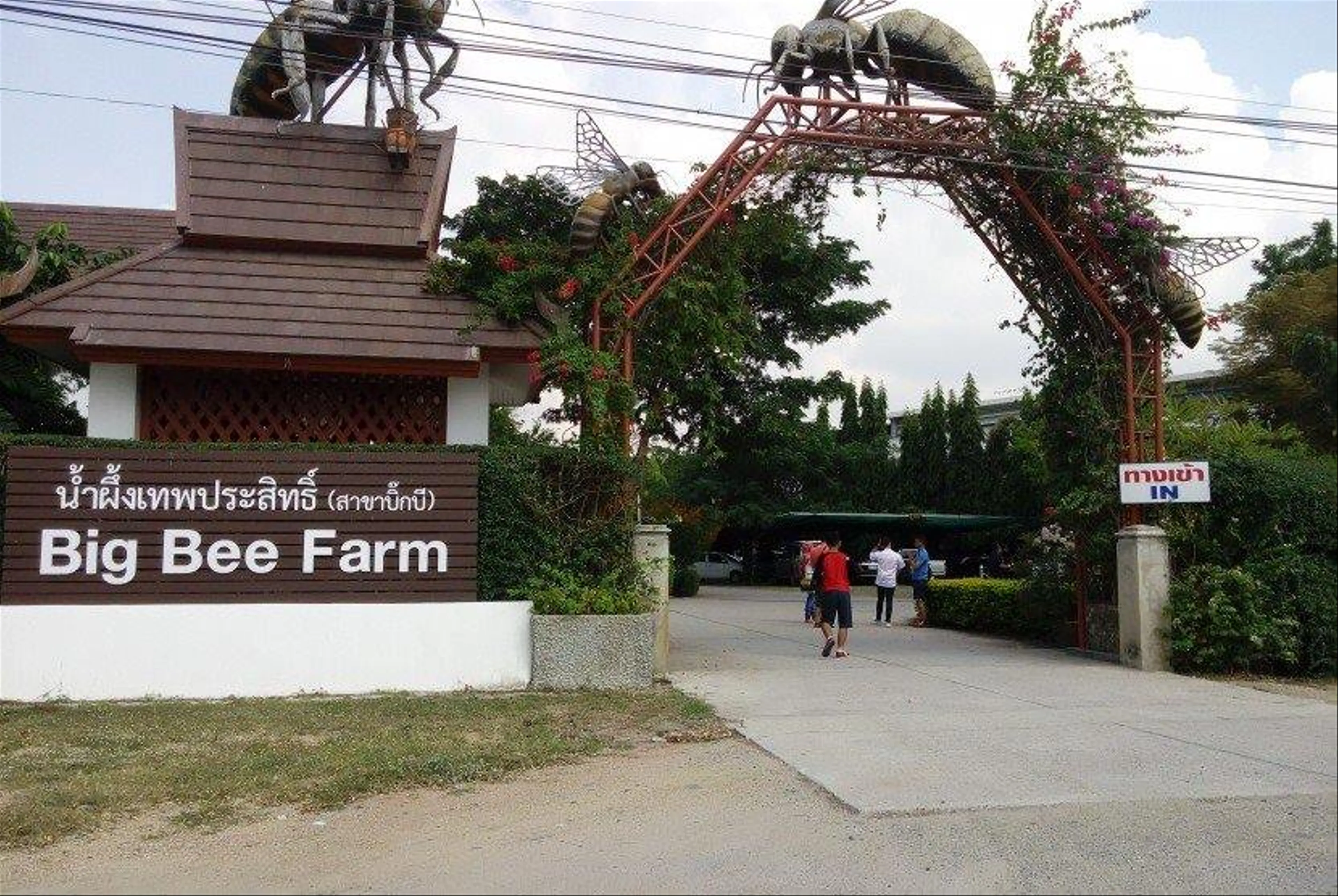 Big Bee Farm