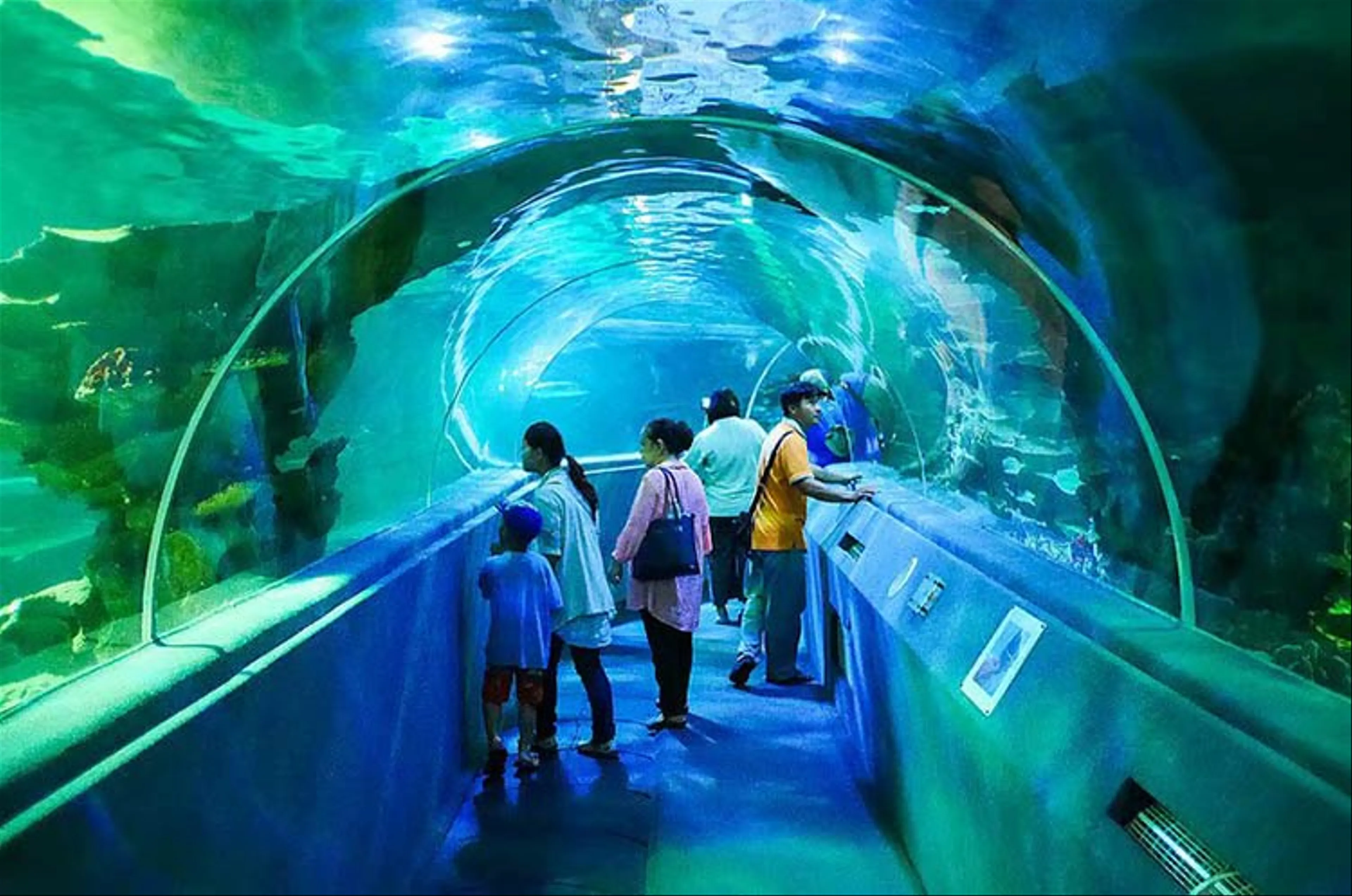 Chiang Mai Zoo Aquarium