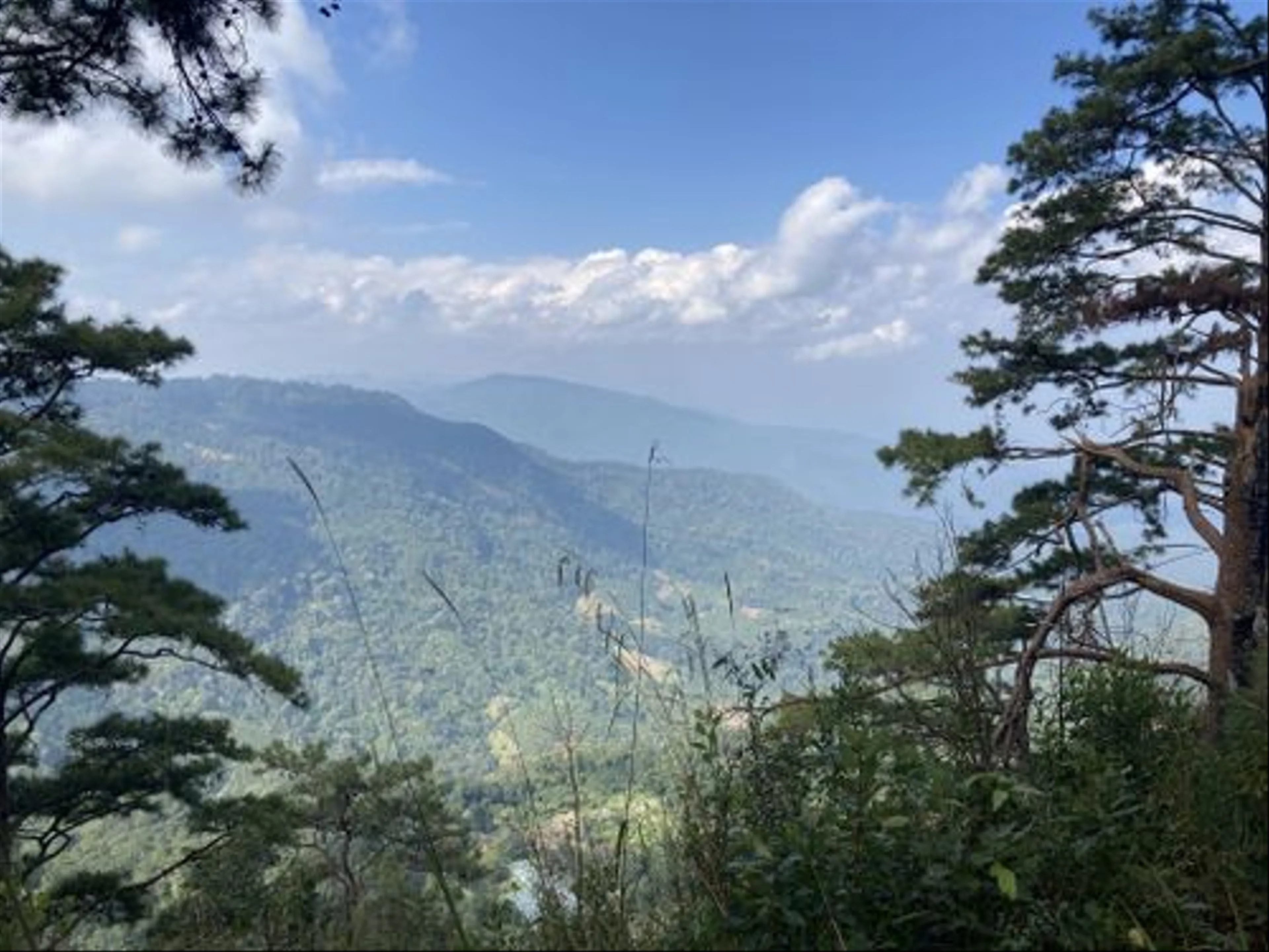 Doi Pui View Point