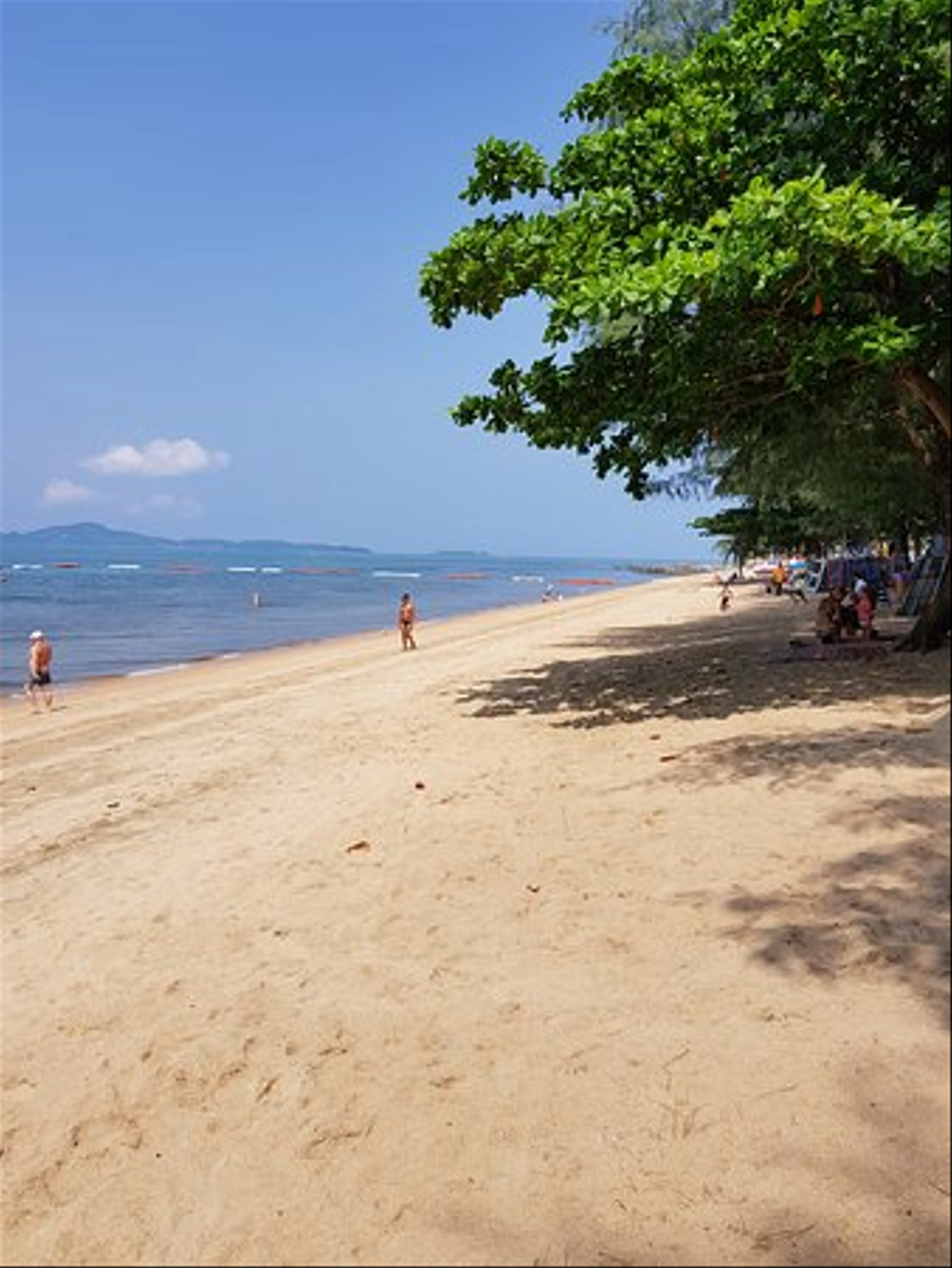 Dongtan Beach
