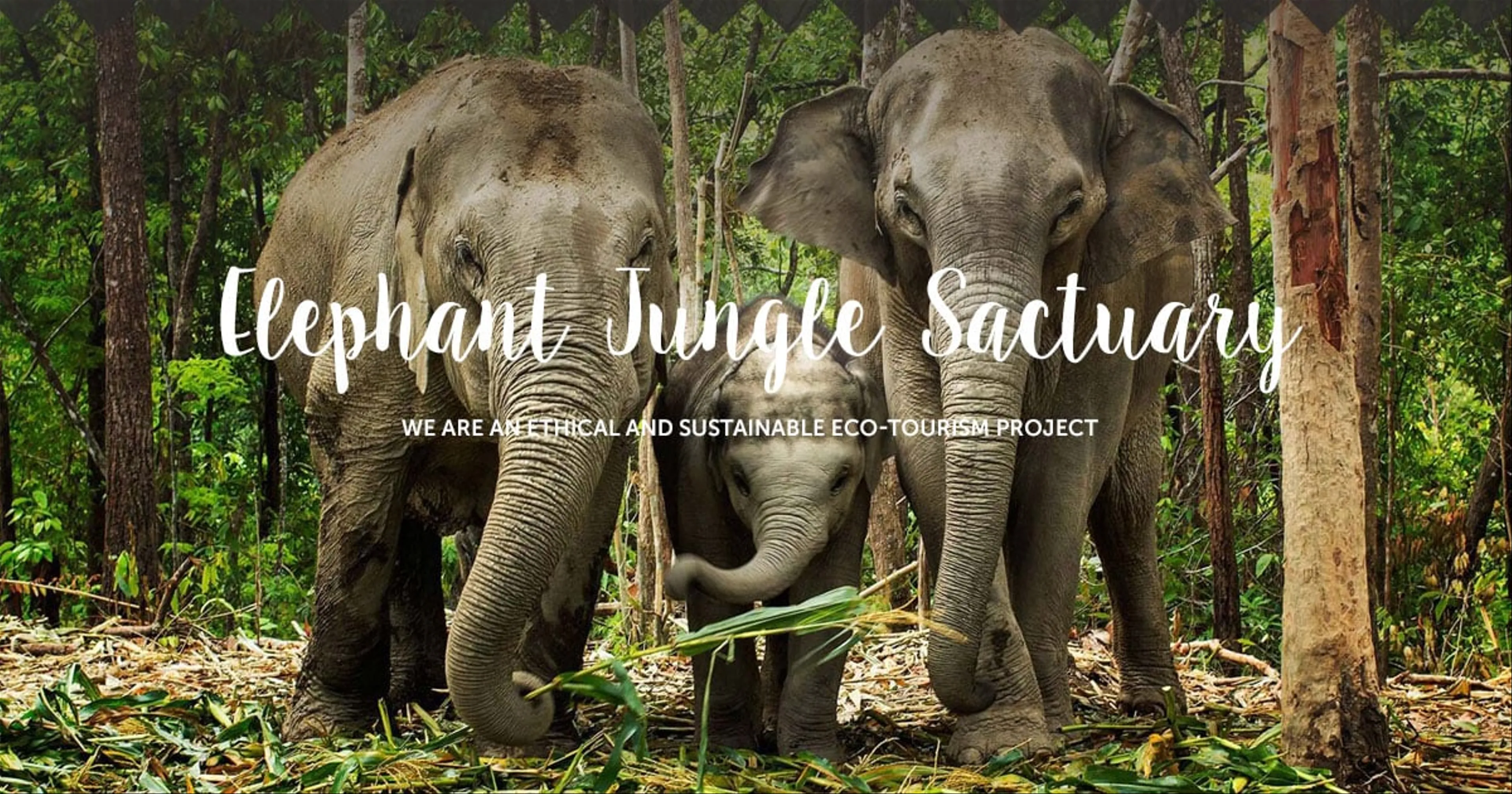 Elephant Jungle Sanctuary