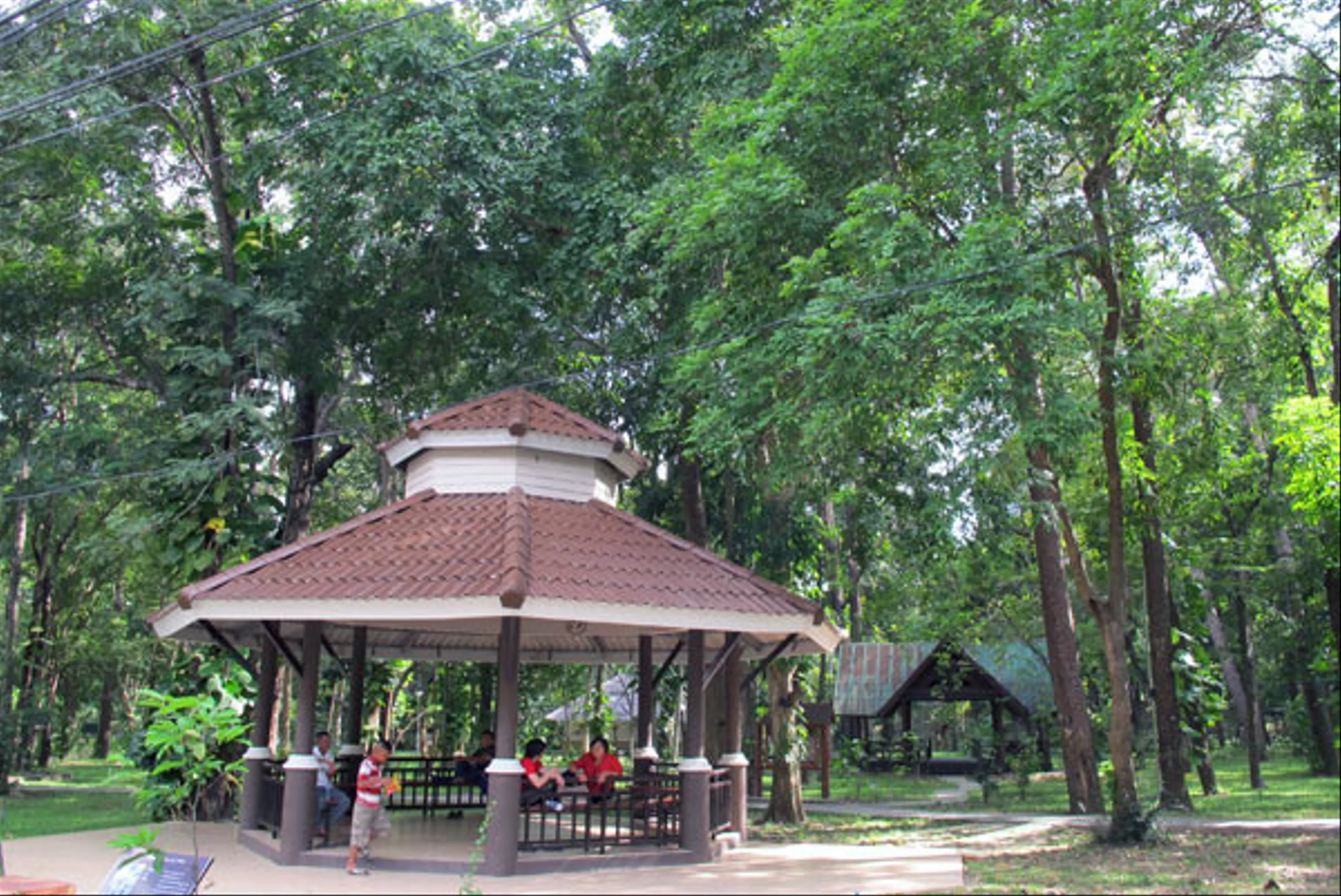 Huay Kaew Arboretum