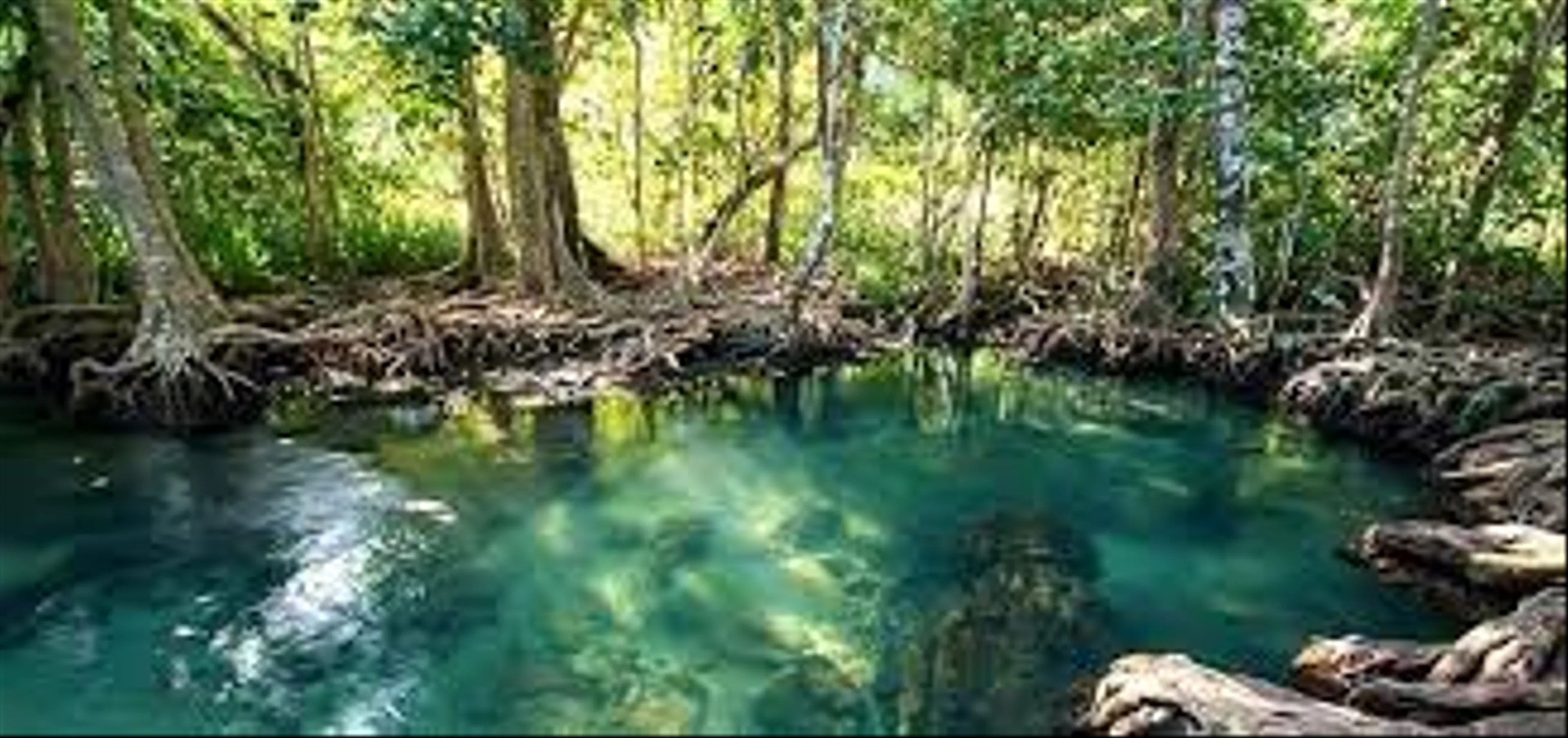 Khao Phanom Bencha National Park