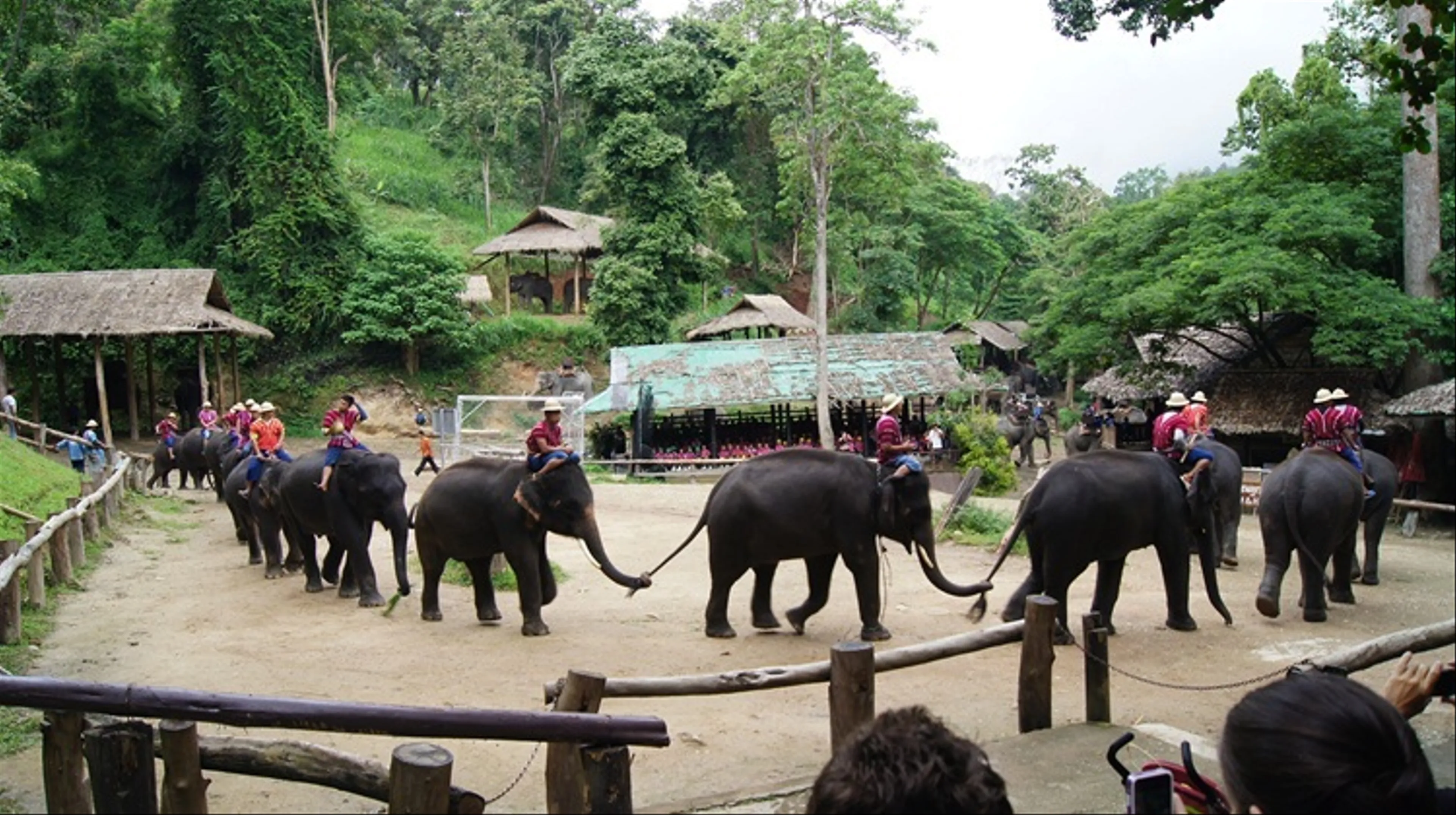 Mae Sa Elephant Camp