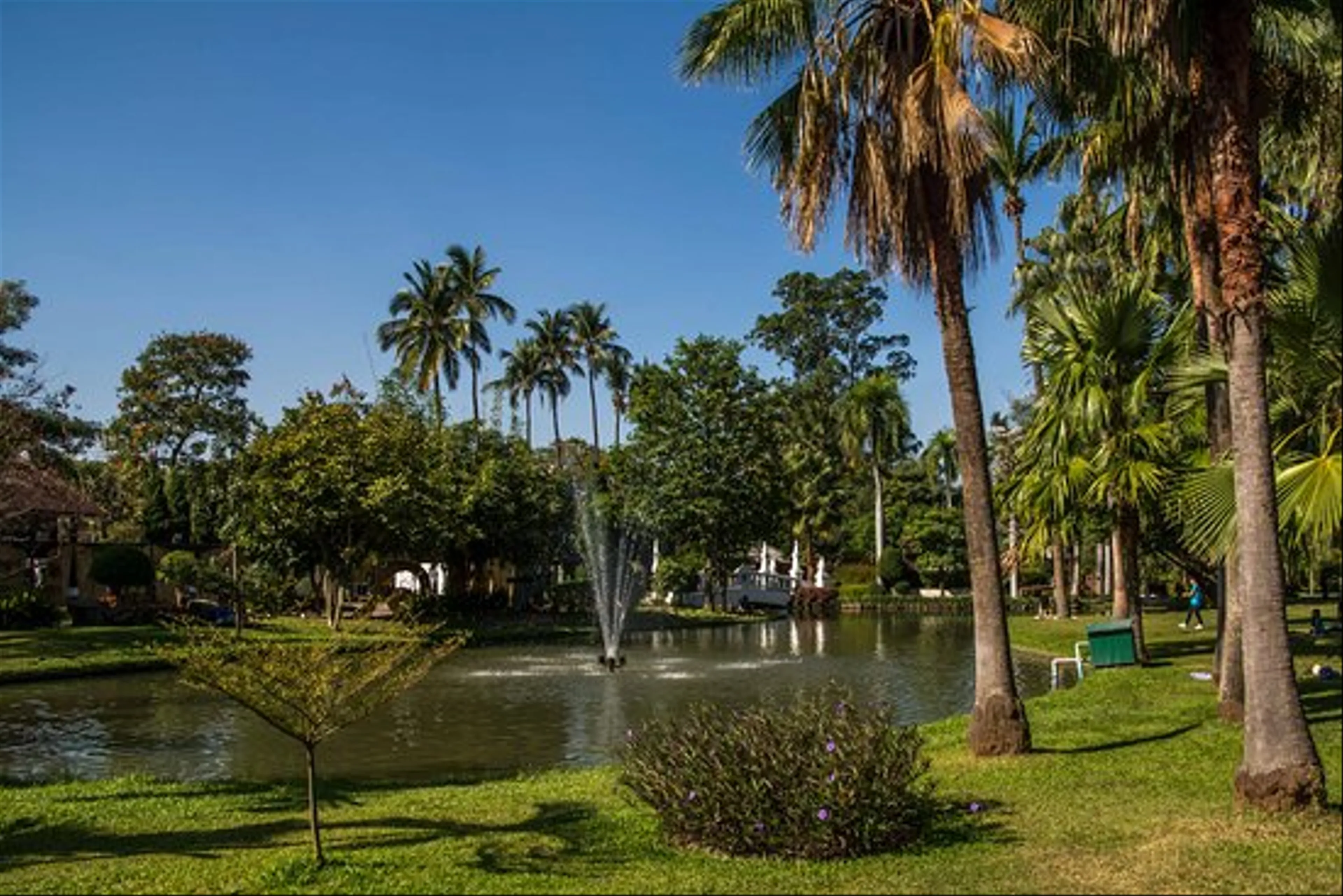 Nong Buak Haad Public Park