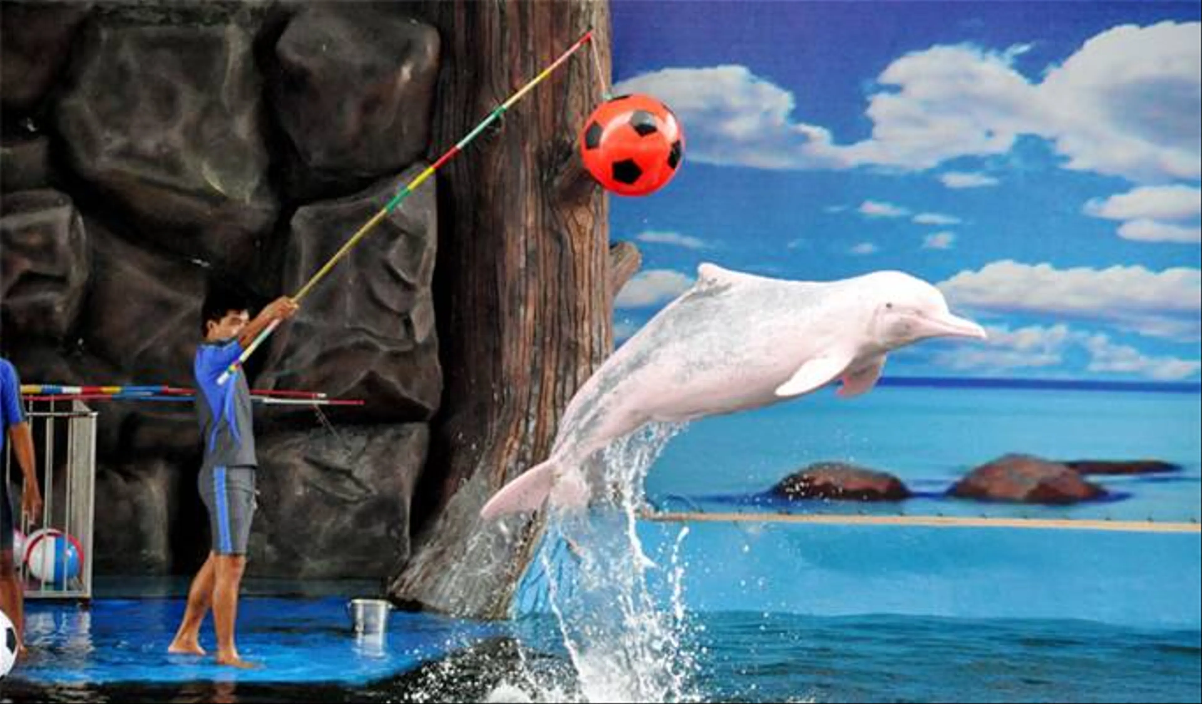 Pattaya Dolphin World