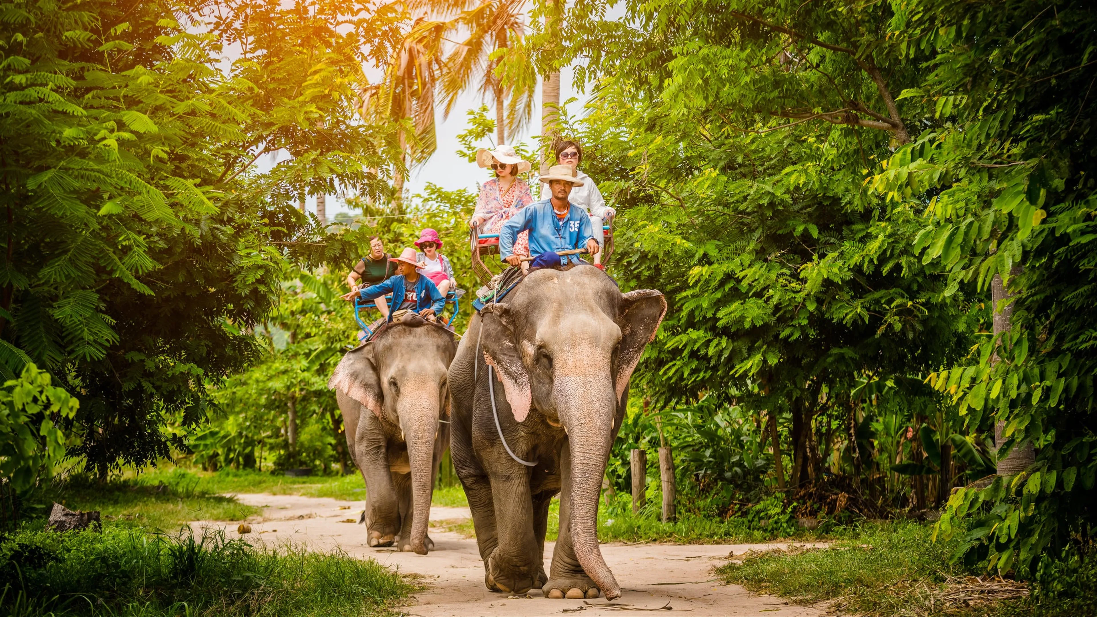Pattaya Elephant Village