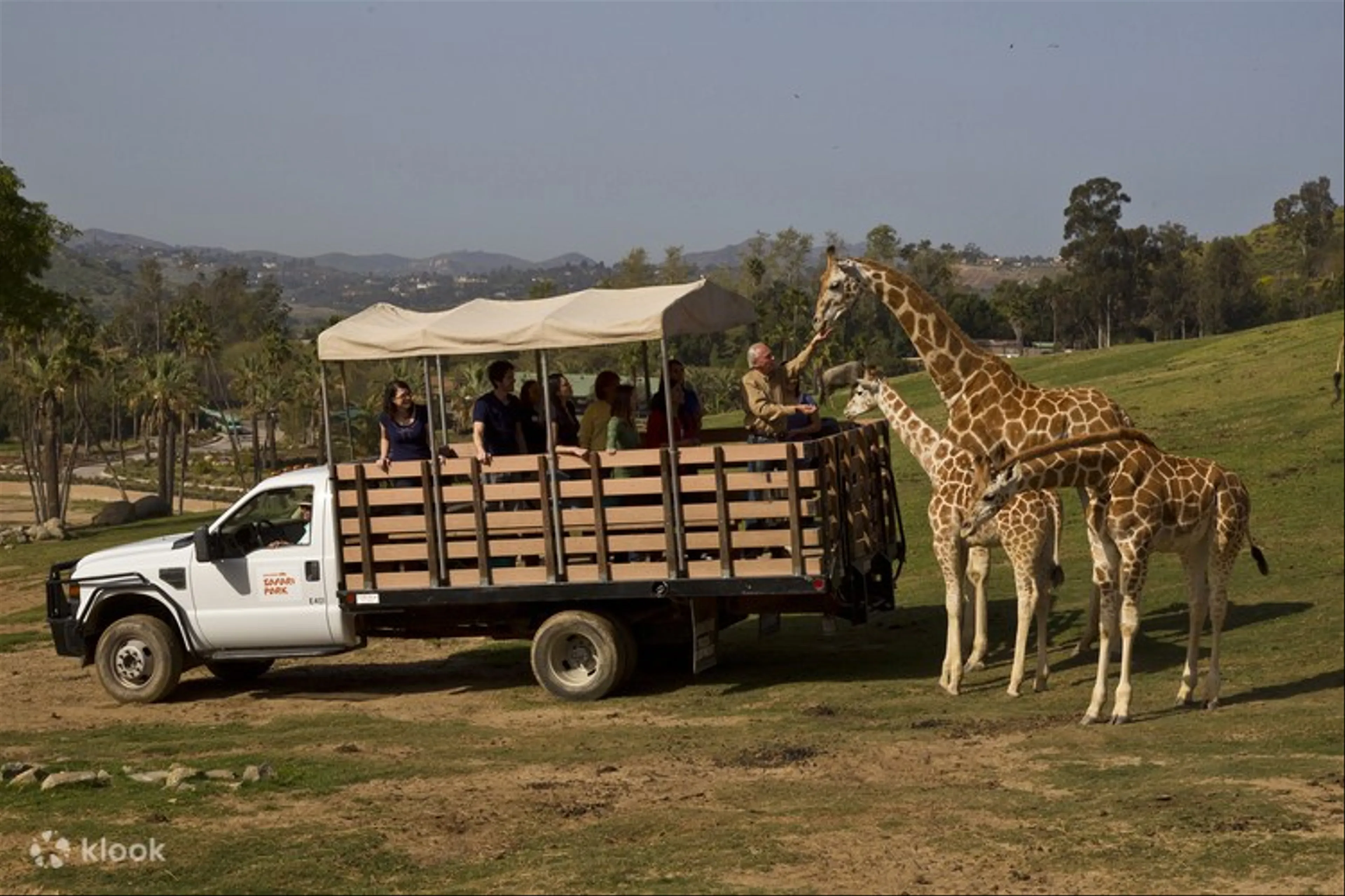 Safari Park