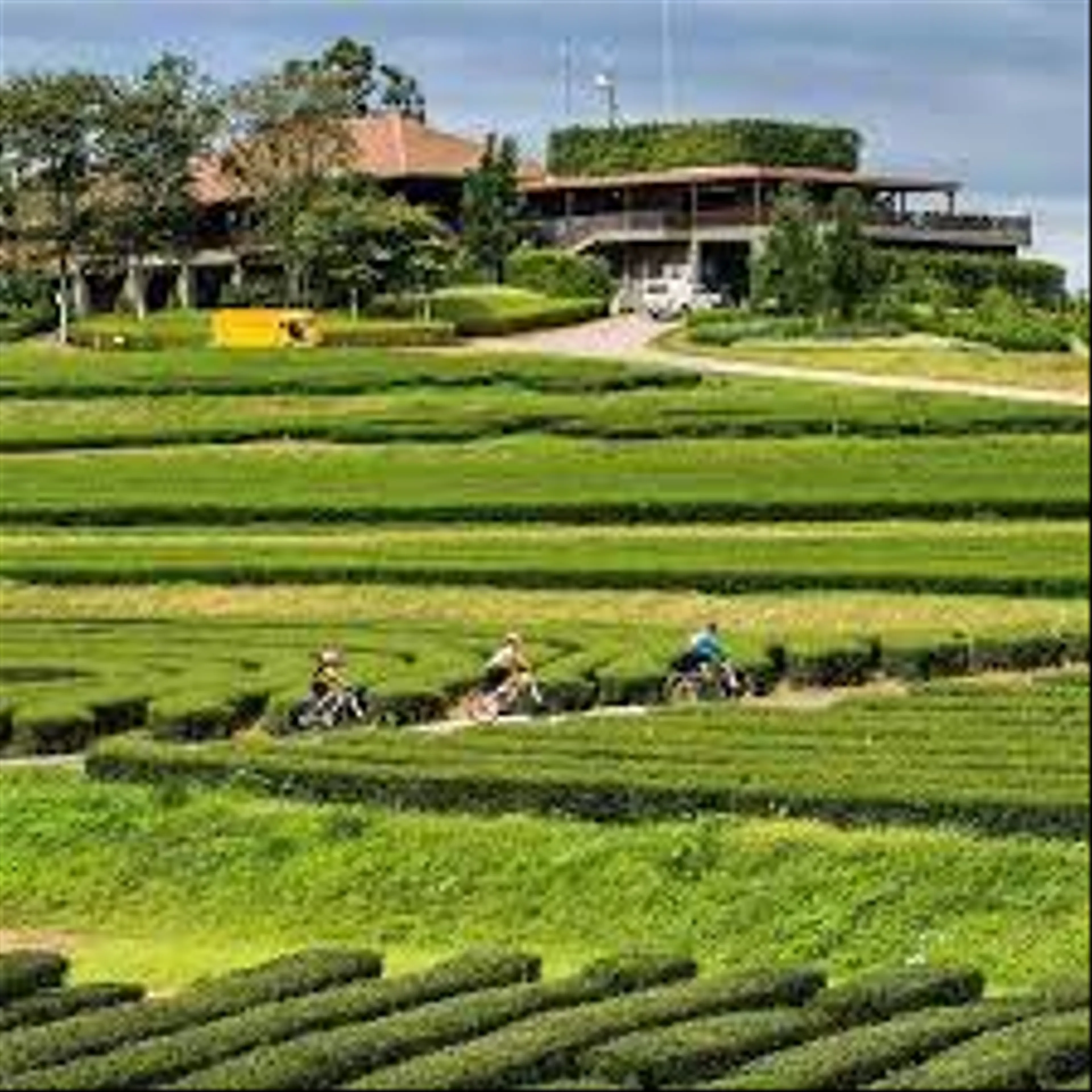 Singha Park Chiang Rai