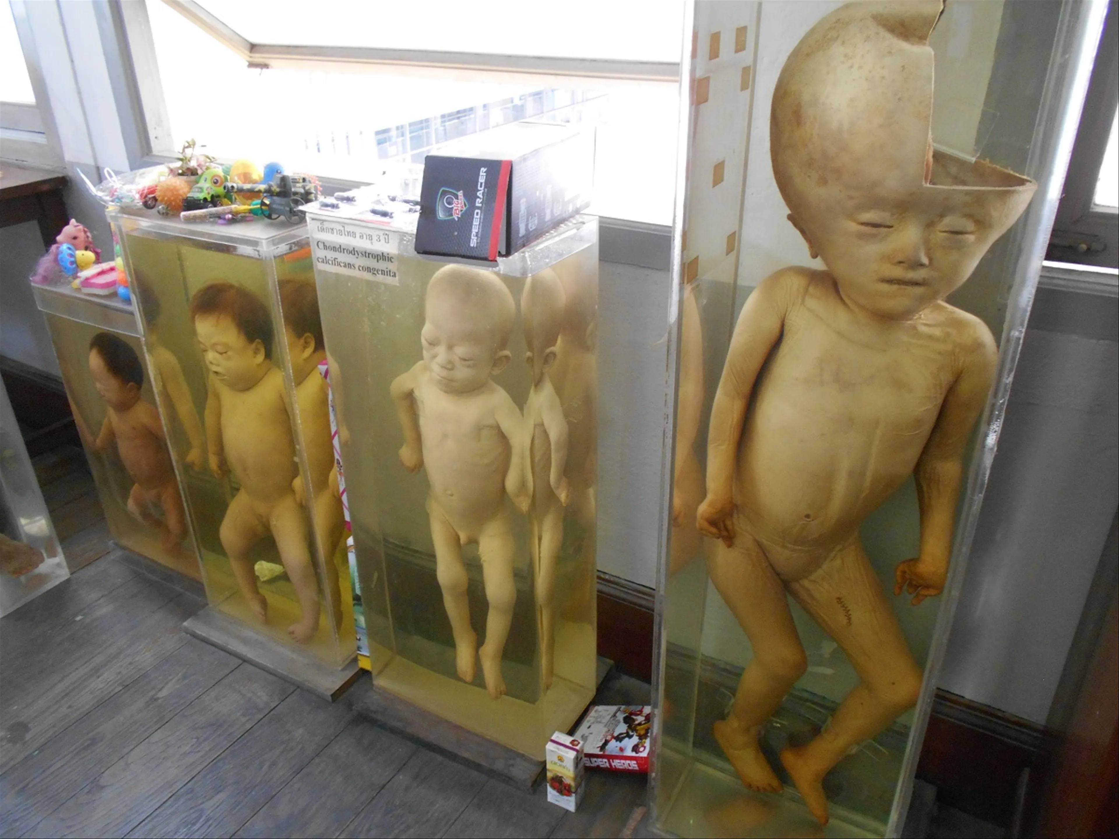 Siriraj Medical Museum