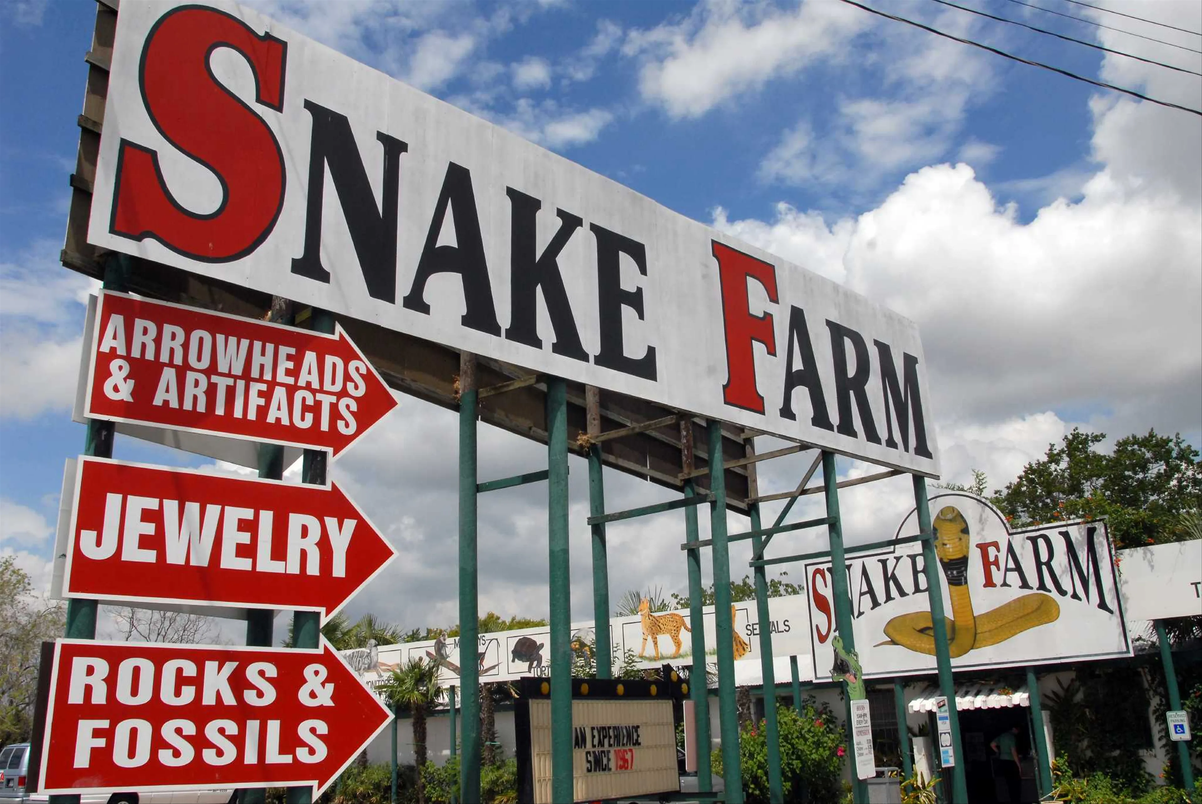 Snake Farm