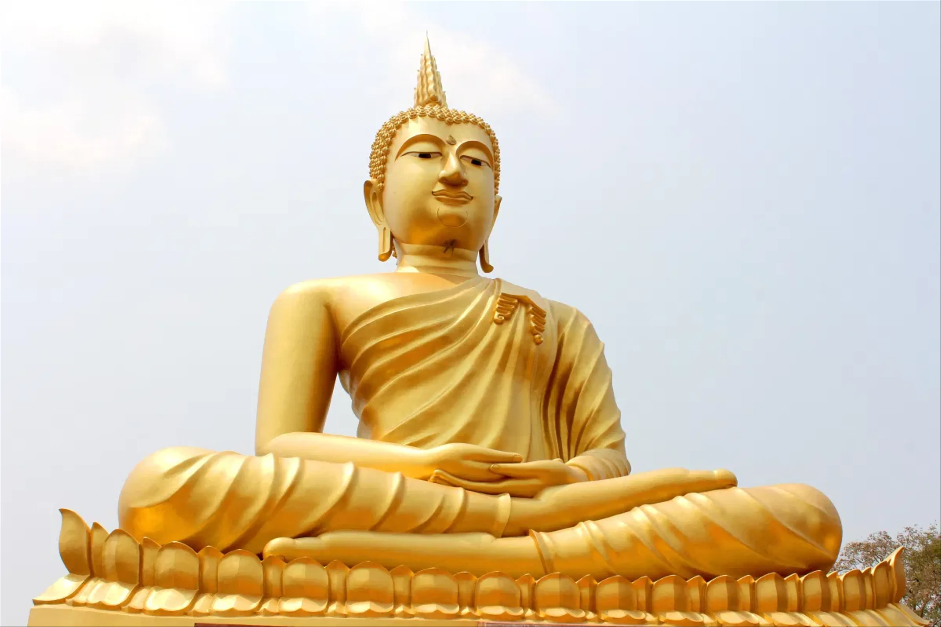 The Golden Buddha