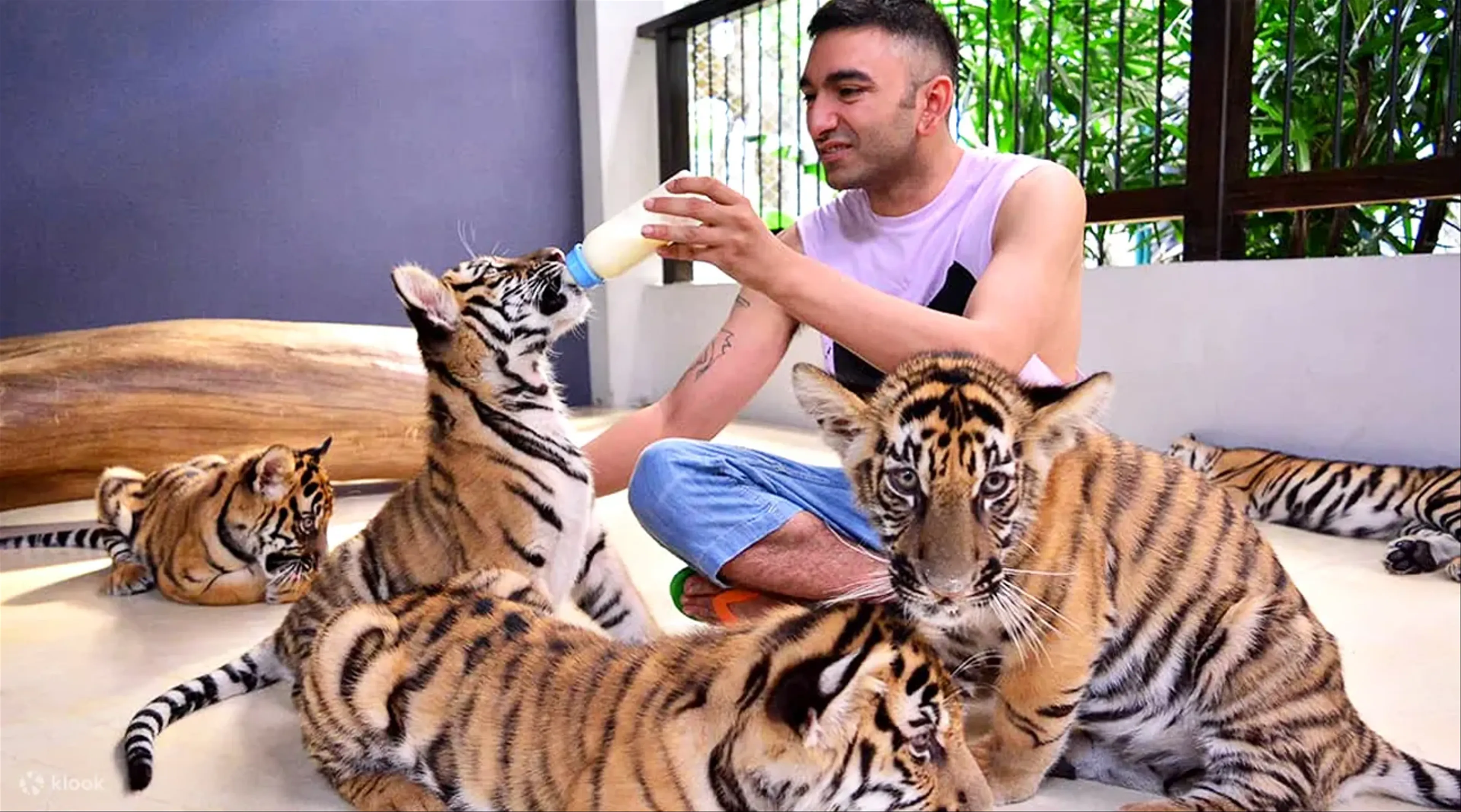 Tiger Park