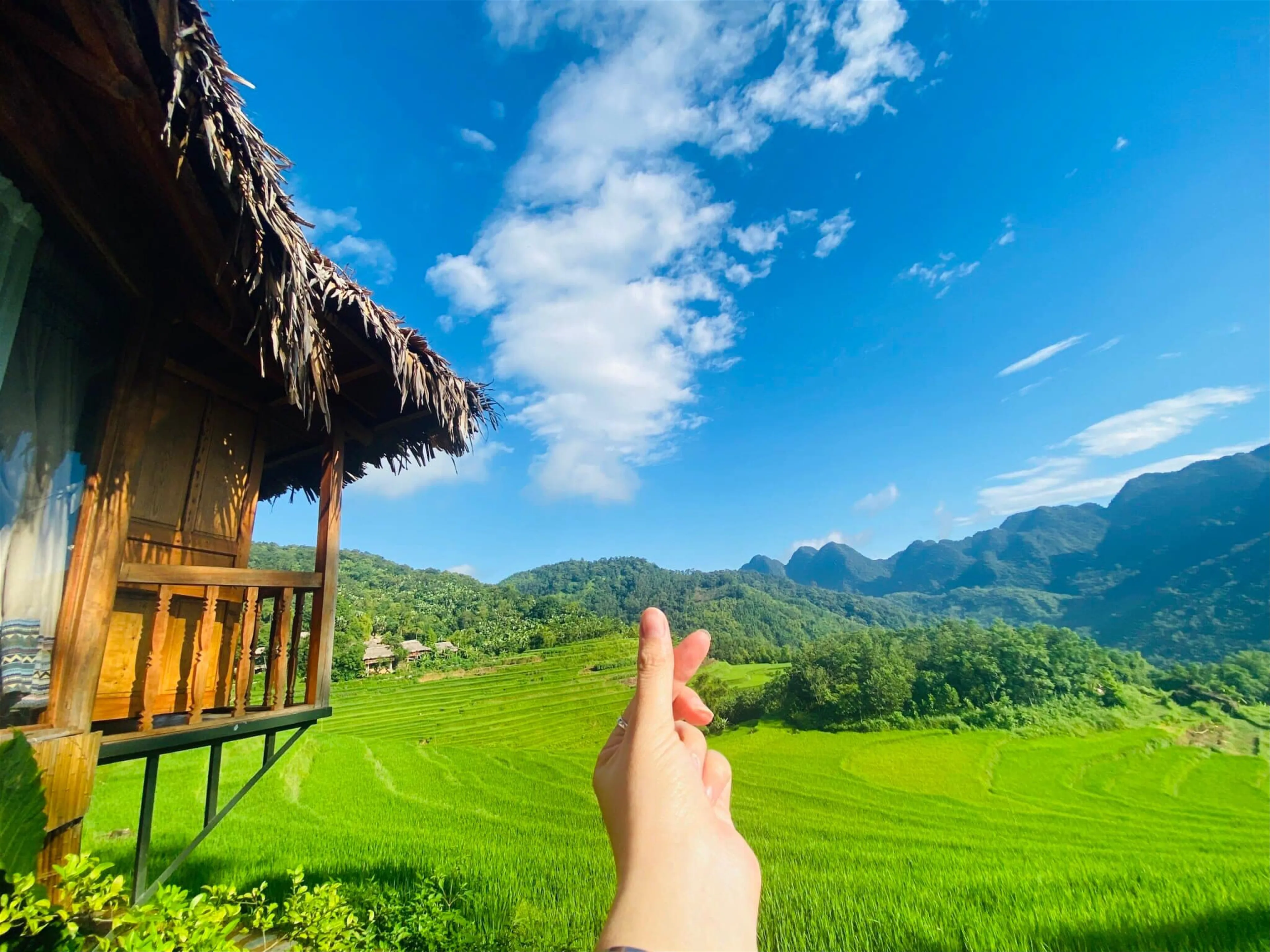 Mùa vàng trên đỉnh Pù Luông