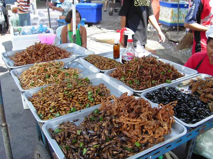 Bọ chiên ở Bangkok không phải du khách nào cũng dám thử