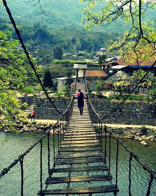 Cây cầu Mây