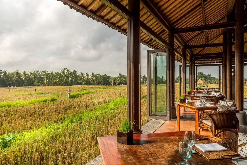 Quán cafe được thiết kế giữa cánh đồng lúa