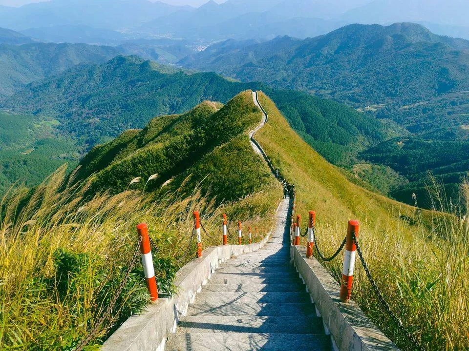 Bình Liêu mùa hạ hoa vàng trên cỏ xanh