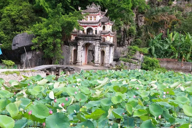 Khung cảnh xung quanh Chùa Bích Động vào mùa hè mùa sen nở