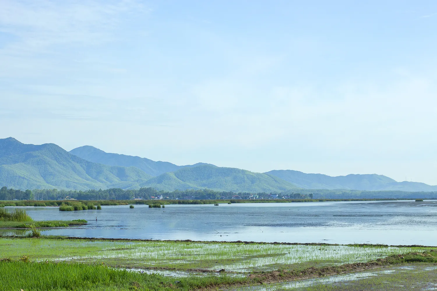 Đầm Trà Ổ tĩnh lặng trong buổi sáng sớm