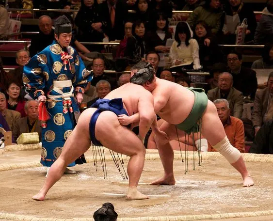 Đấu vật Sumo là môn thể thao bạn nên tới xem trải nghiệm