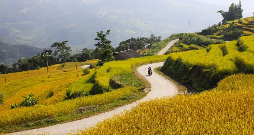Nương lúa khi chuẩn bị được thu hoạch