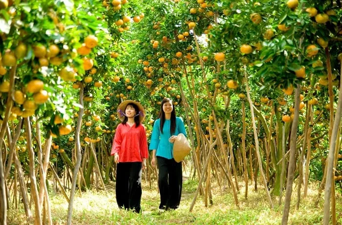 Du lịch Miệt vườn