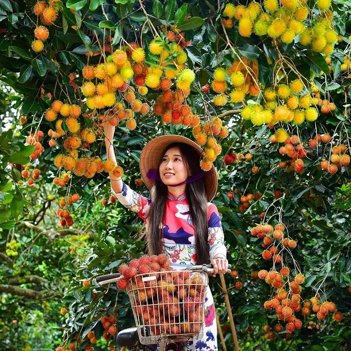 Du lịch Miệt vườn