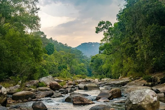 Khung cảnh thiên nhiên thanh bình