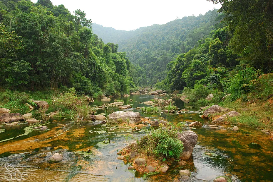 Những con suối êm ả và trong vắt