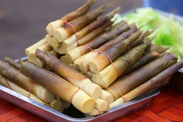 Món măng rừng