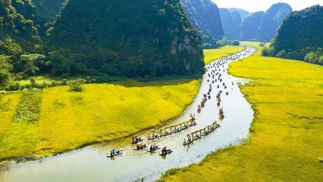 Những cánh đồng lúa chín vàng ở giữa là dòng sông