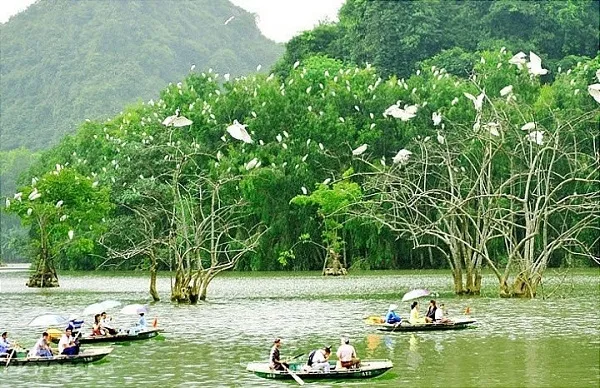Bạn có thể ngồi trên thuyền để tham quan