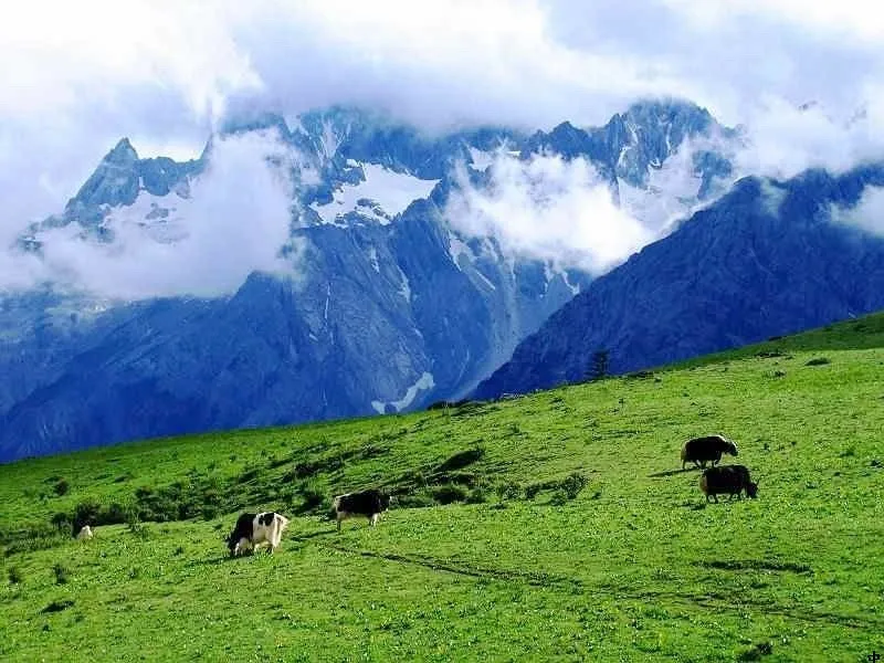 Thảo nguyên Vân Sam