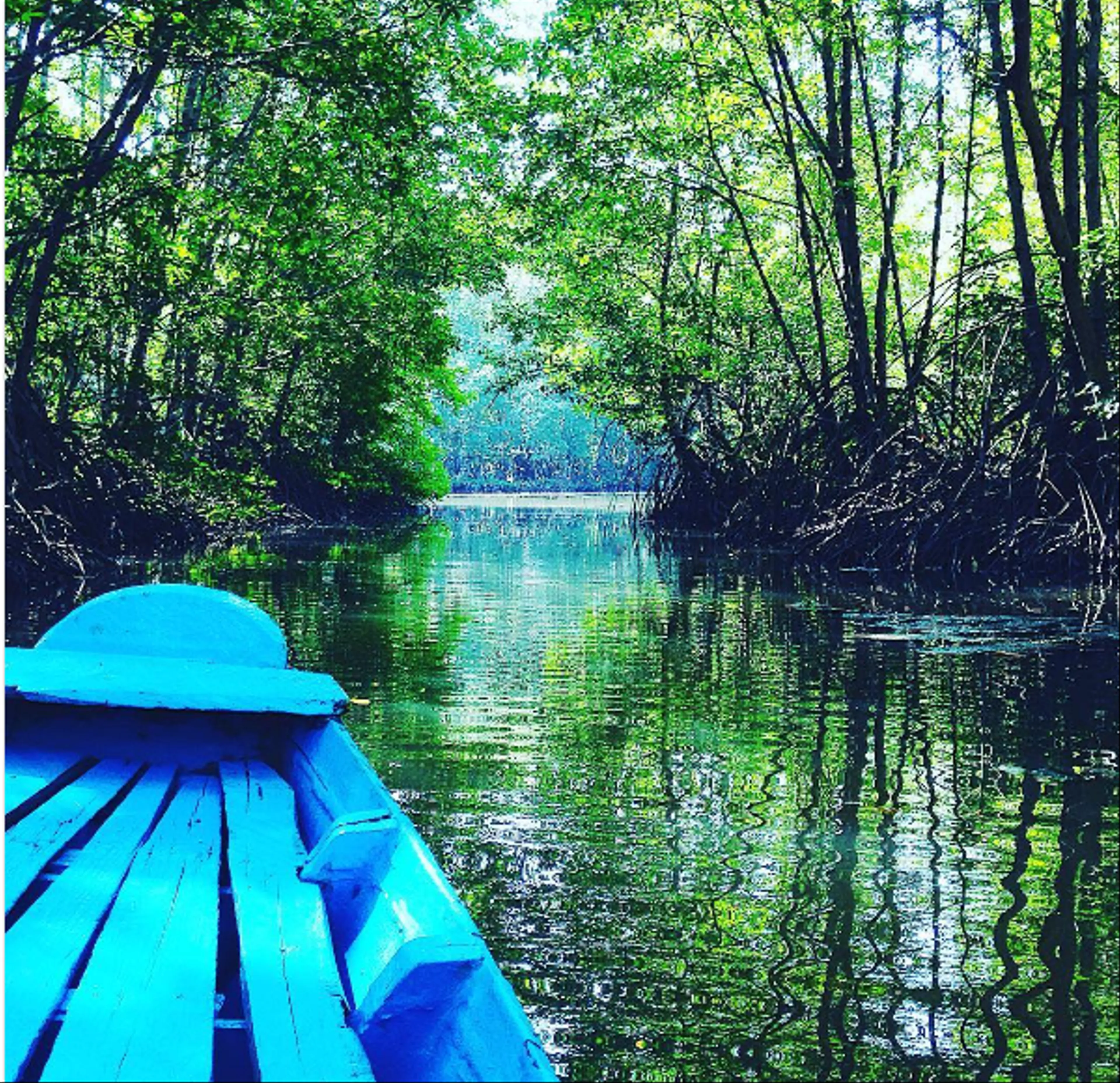 Green Journey Can Gio - Vam Sat
