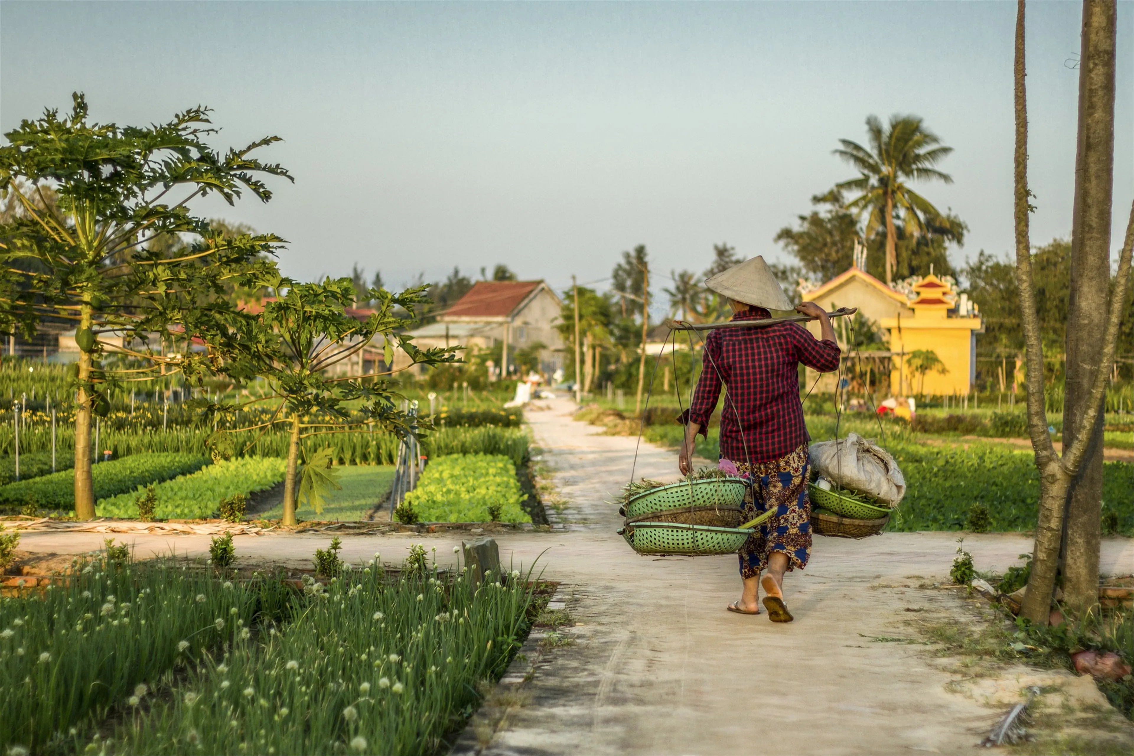 Vietnam is an emerging holiday destination for Indians