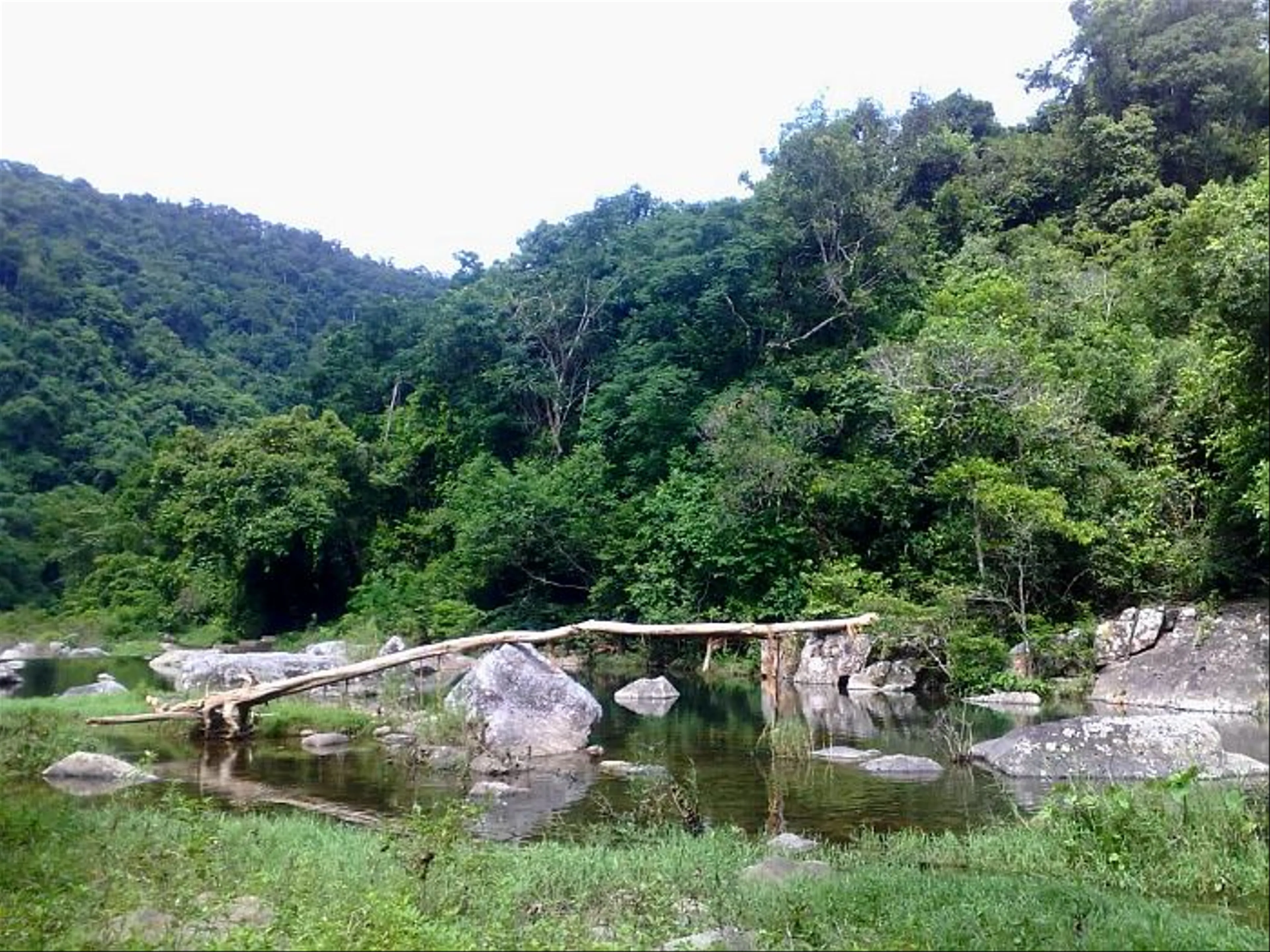 Lắng nghe bản "nhạc rừng" ở Khe Rỗ