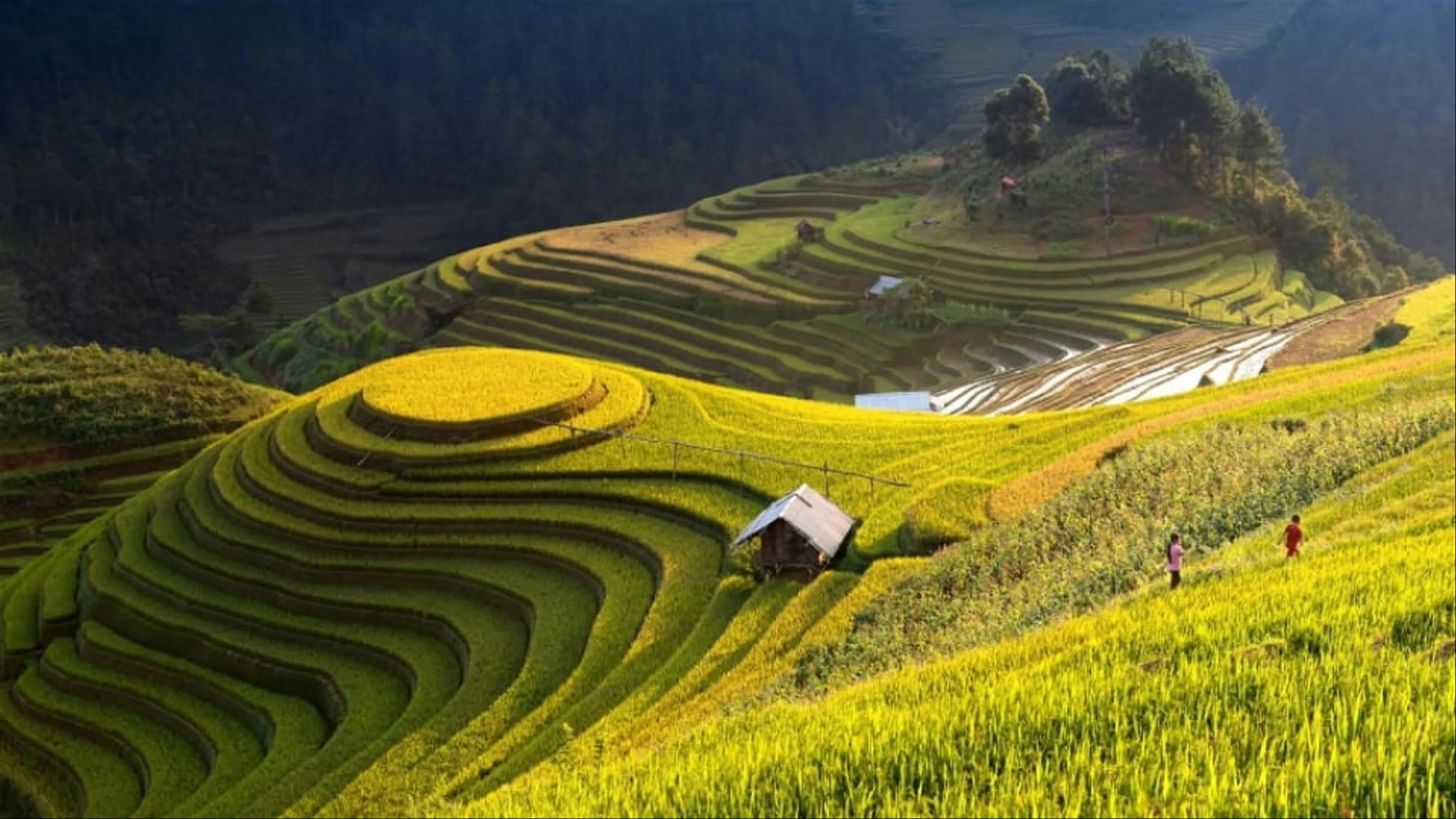Ho Chi Minh - Northeast: Hanoi - Ha Giang - Lung Cu - Dong Van - Ma Pi Leng - Meo Vac - Cao Bang - Ban Gioc Waterfall - Ba Be Lake
