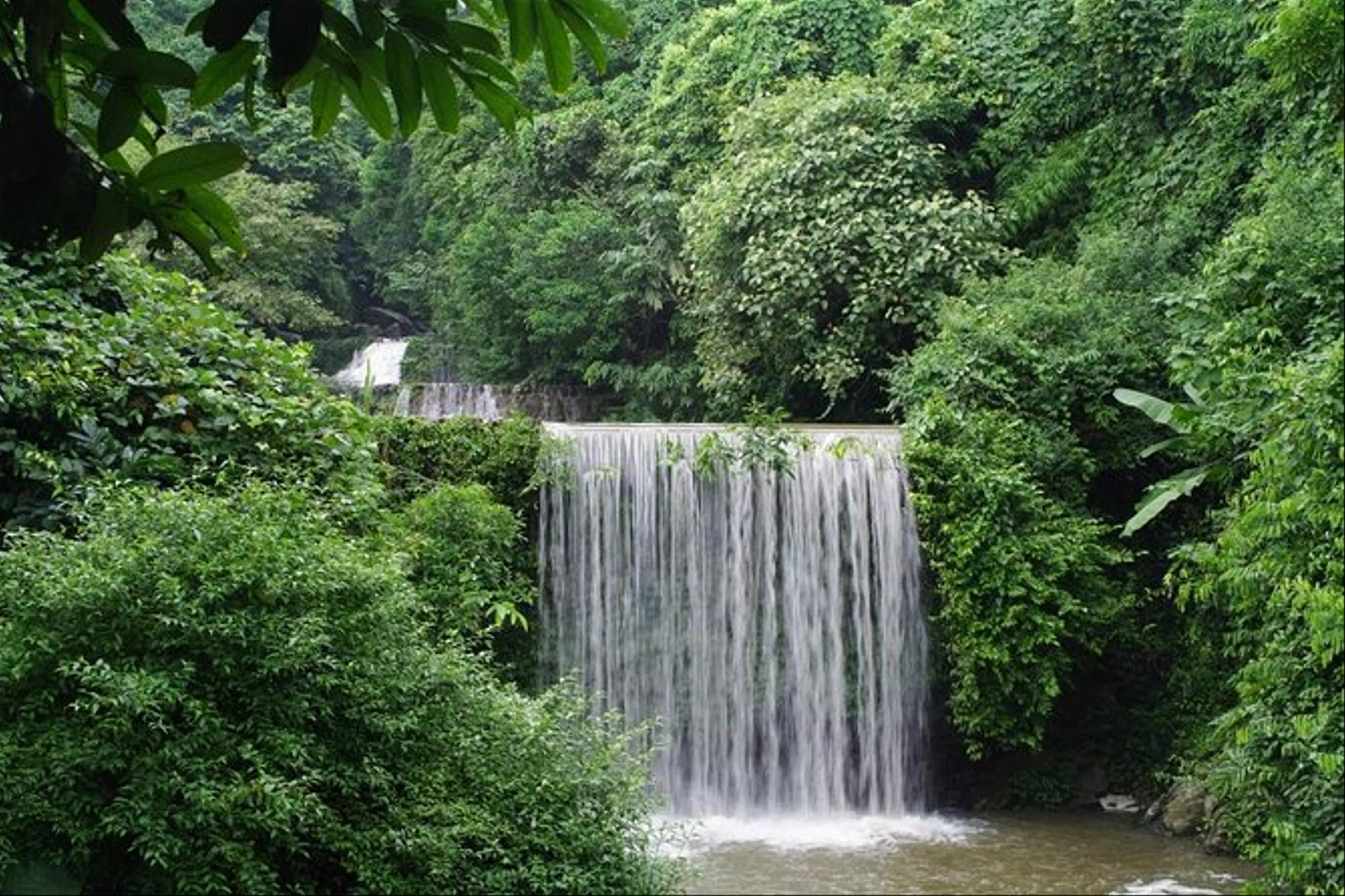 1 Day Ba Vi National Park Trekking Tour