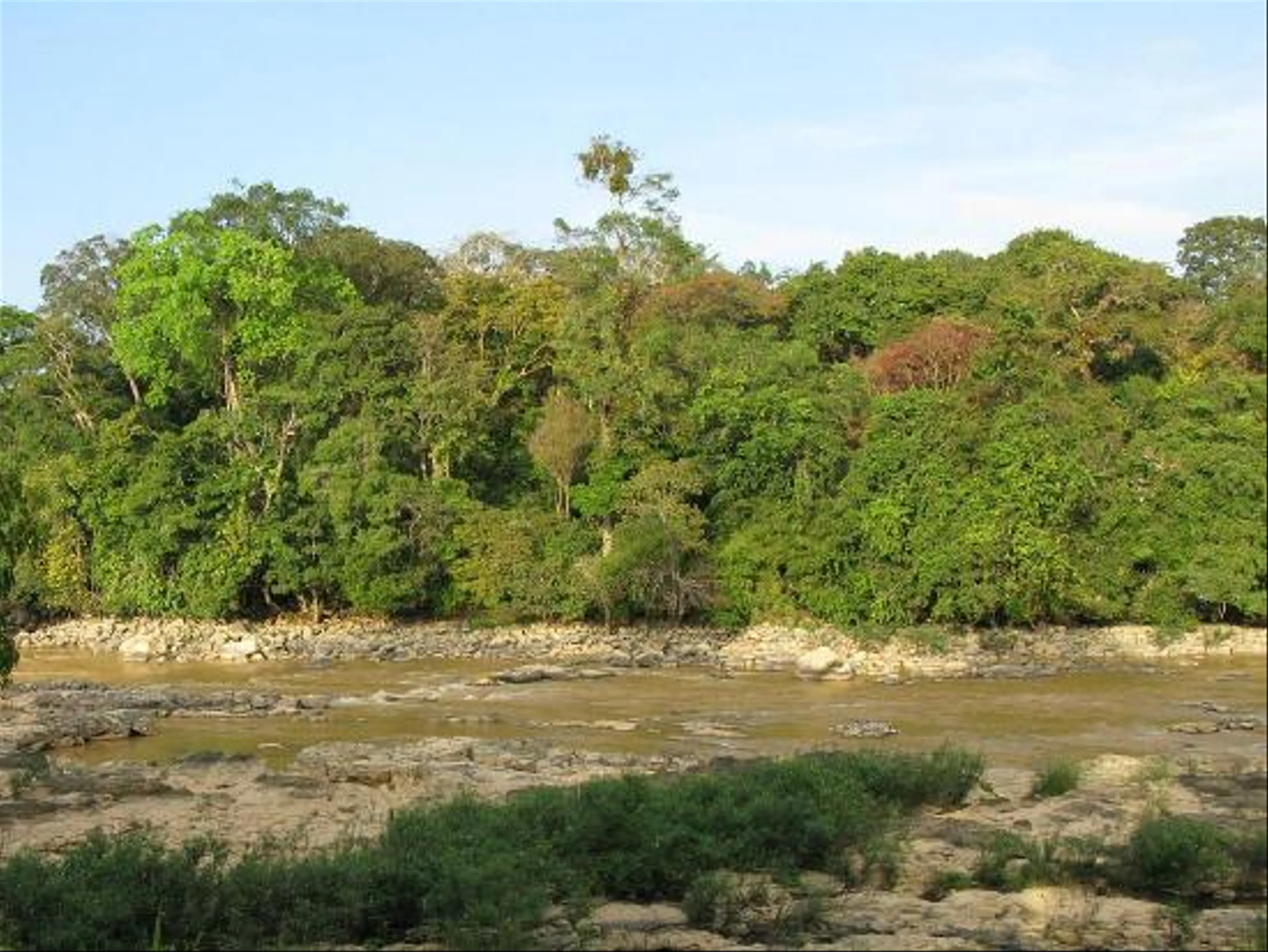 Cat Tien National Park 2d1n – Wildlife & Nature Adventure From Ho Chi Minh City