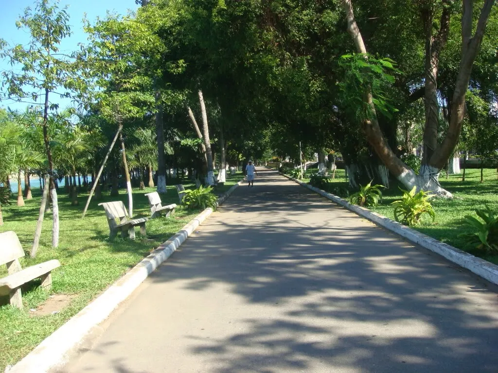 Không gian xanh mát, sạch sẽ ở công viên 29/3